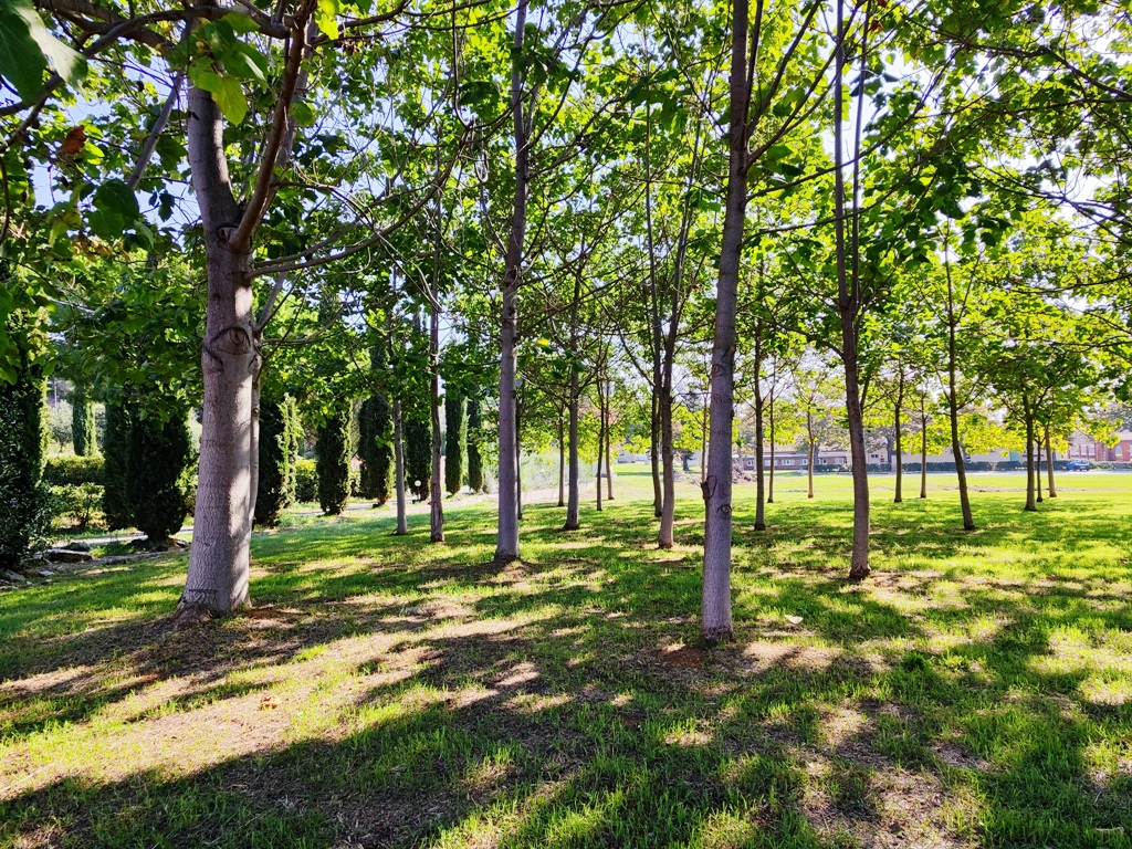 Spazio Verde